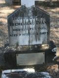 image of grave number 842704