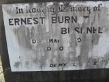 image of grave number 308070