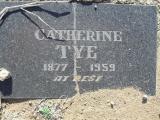 image of grave number 308088