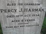 image of grave number 308158