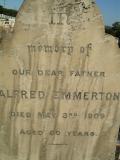 image of grave number 308225