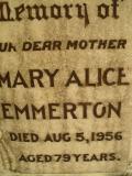 image of grave number 308762