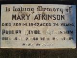 image of grave number 308772