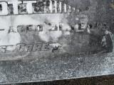 image of grave number 308901