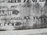 image of grave number 308926