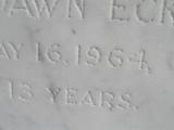 image of grave number 308994
