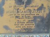 image of grave number 309018