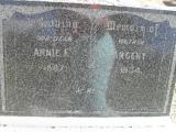 image of grave number 310670