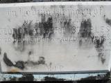 image of grave number 310678
