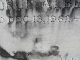 image of grave number 310678