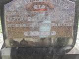 image of grave number 310681