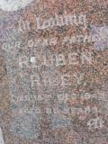 image of grave number 310703