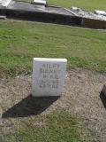 image of grave number 310728