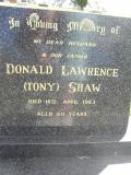 image of grave number 310733