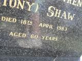 image of grave number 310733