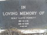 image of grave number 310741