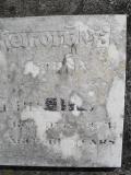 image of grave number 310754