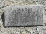 image of grave number 310762