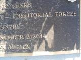 image of grave number 310925
