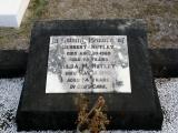 image of grave number 869090