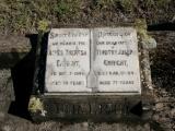 image of grave number 869102