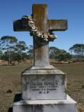 image of grave number 869129