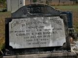 image of grave number 869168