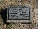 image of grave number 869259