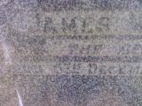 image of grave number 310142