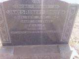 image of grave number 310195