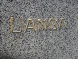 image of grave number 310247