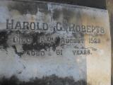 image of grave number 310271