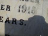 image of grave number 310295