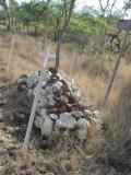 image of grave number 310319