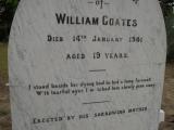 image of grave number 310362