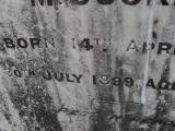 image of grave number 310407