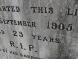 image of grave number 310408