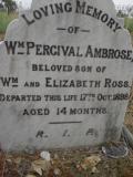 image of grave number 310409