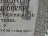 image of grave number 310420