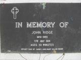 image of grave number 310434
