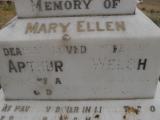 image of grave number 310454