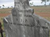 image of grave number 310456