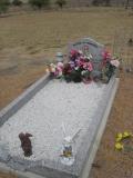 image of grave number 310516