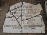 image of grave number 310576