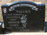 image of grave number 839780