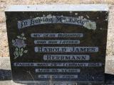 image of grave number 840127