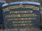 image of grave number 840235