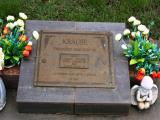 image of grave number 812819