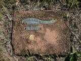 image of grave number 754875