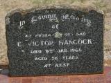 image of grave number 872762